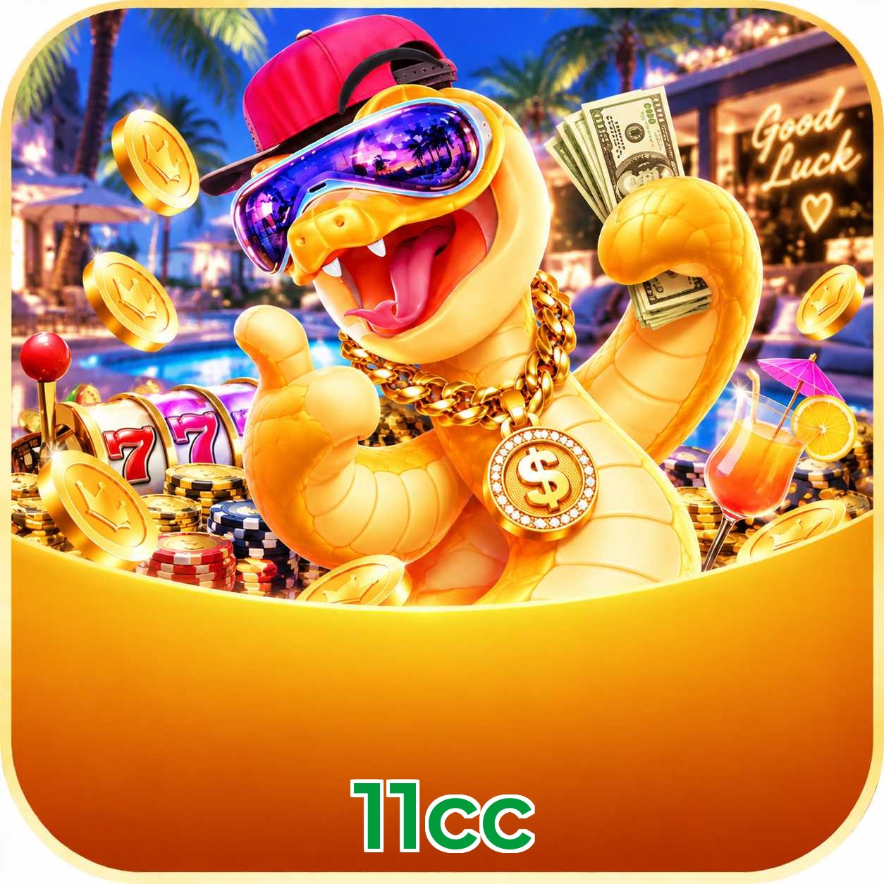 11cc Live Casino Overview